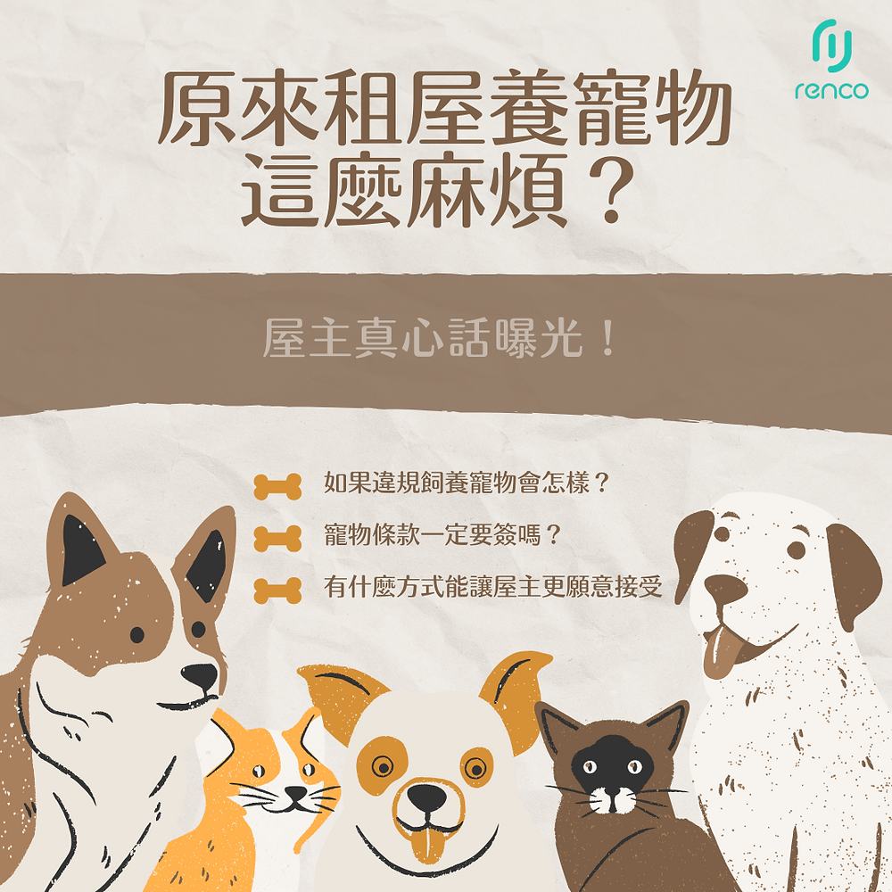 【驚人真相】原來租屋養寵物這麼麻煩?屋主的真心話曝光!